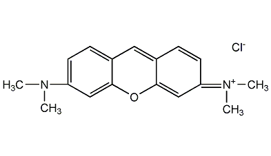 Jiao Ning Y structural formula