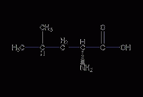 D-leucine structural formula