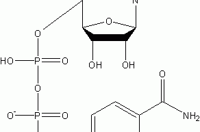 β-diphosphopyridine nucleotide structural formula