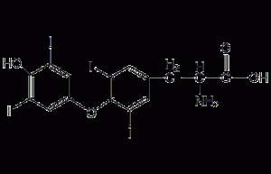 L-thyroxine structural formula